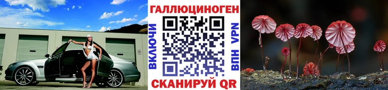 цена наркотик  Емва  darknet какой сайт  Псилоцибиновые грибы GOLDEN TEACHER 